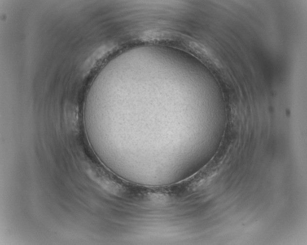 X0000070420592200606121347