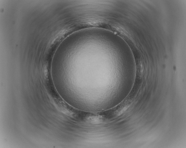 X0000070420595200606121347