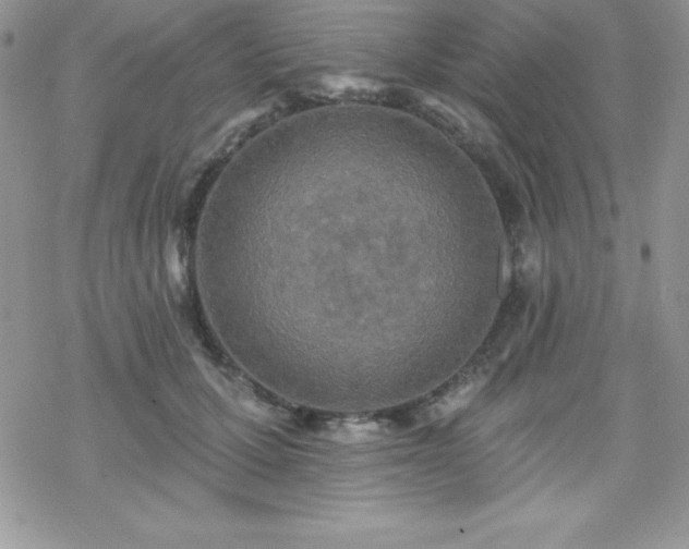 X0000070420607200606121347