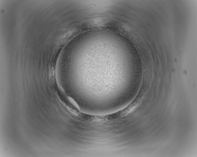 X0000070420624200606121347