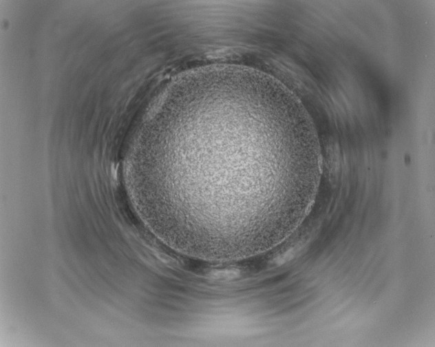 X0000070420653200606121347