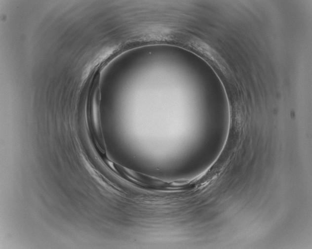 X0000070420677200606121346