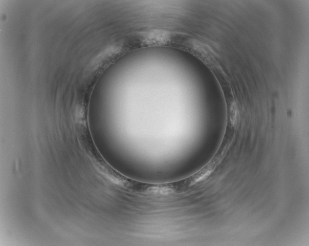 X0000070420714200606121345