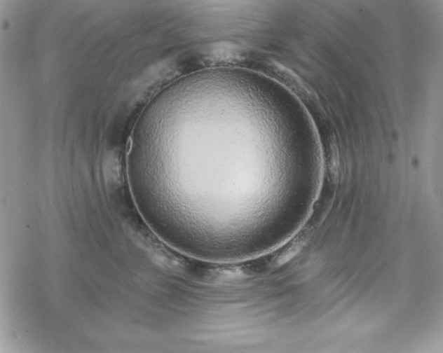 X0000070420715200606121345