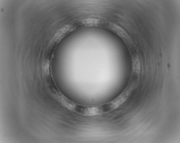 X0000070420717200606121345