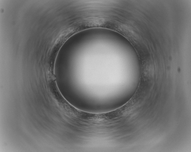 X0000070420743200606121345