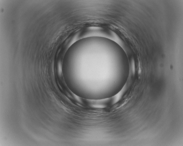 X0000070420750200606121345
