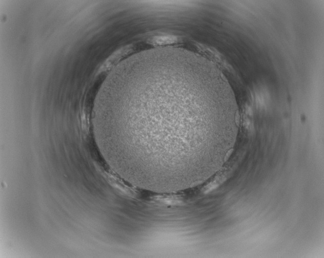 X0000070420763200606121345