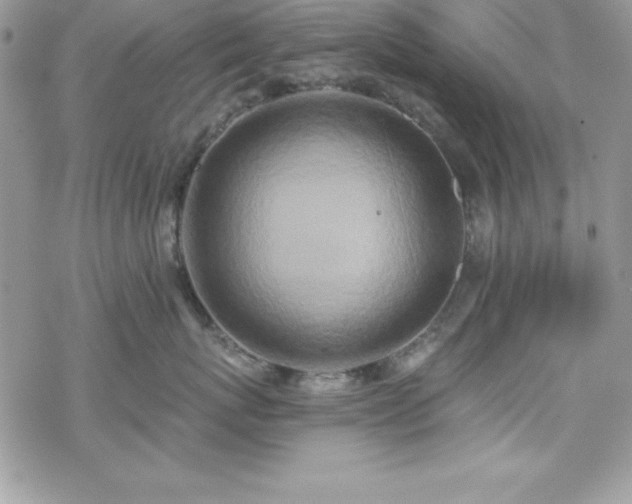 X0000070420767200606121345