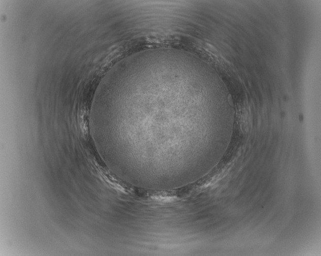 X0000070420770200606121345