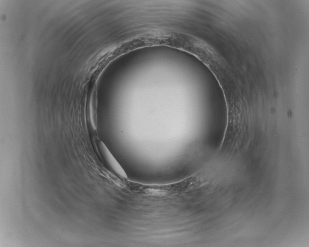 X0000070420773200606121345