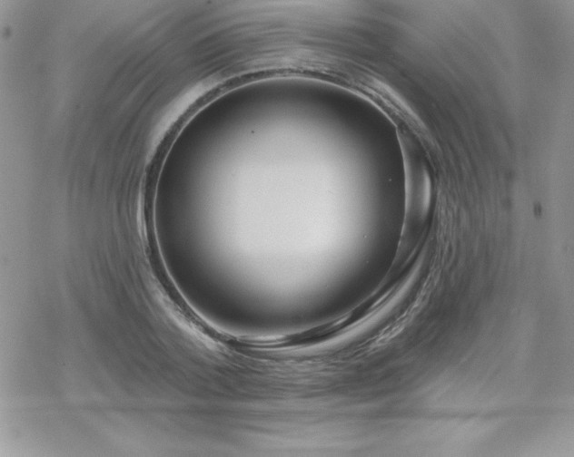 X0000070420788200606121344