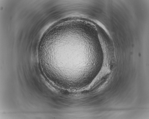 X0000070420791200606121344