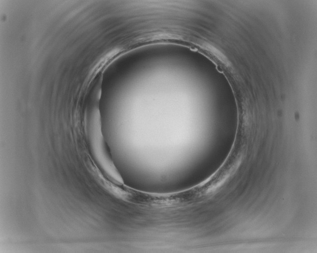 X0000070420793200606121344