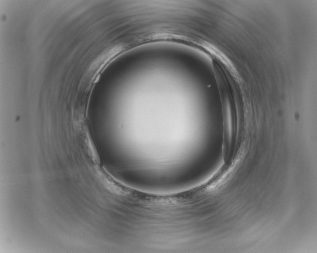 X0000070420801200606121344