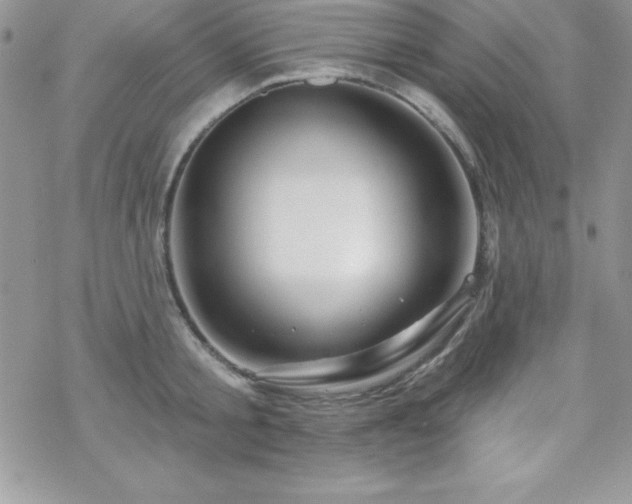 X0000070420805200606121344