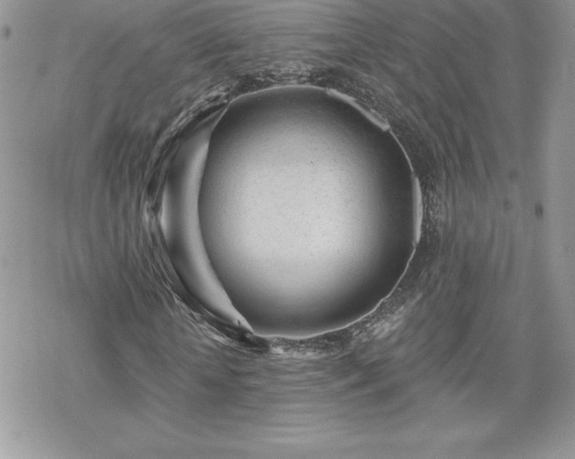 X0000070420818200606121343
