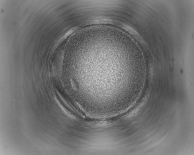 X0000070420841200606121343