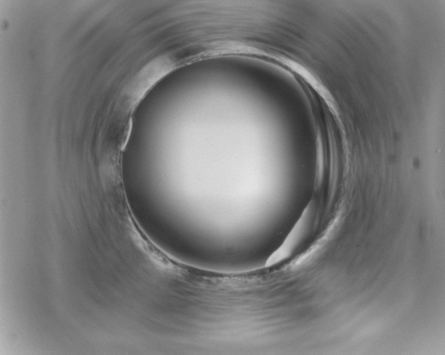 X0000070420905200606121342