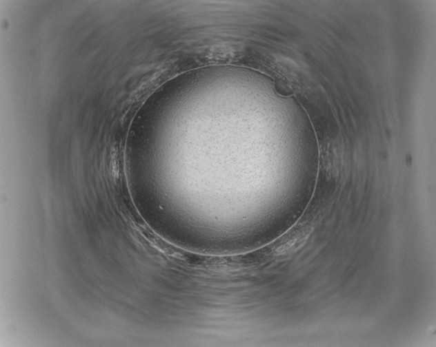 X0000070420962200606121341