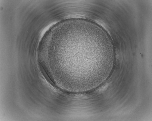 X0000070420979200606121341