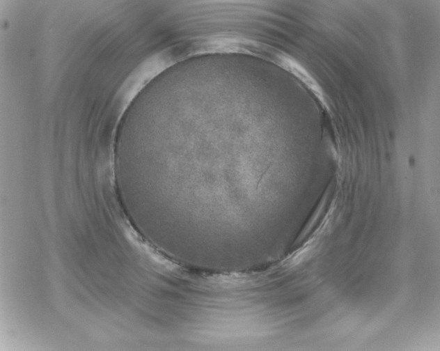 X0000070420994200606121341
