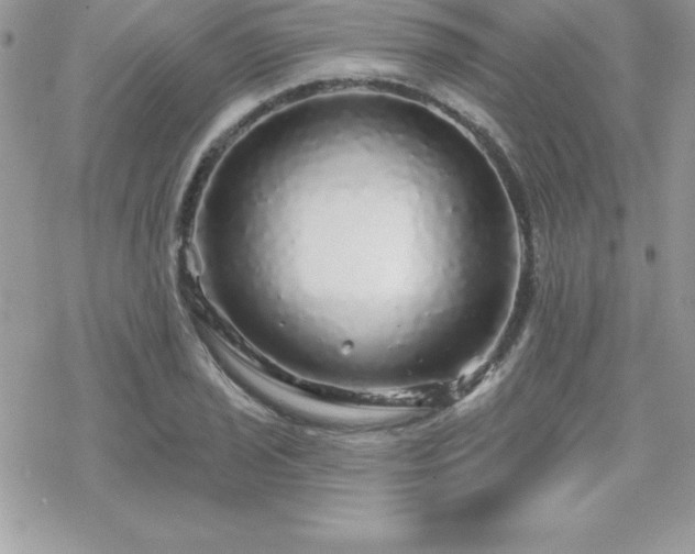 X0000070421029200606121340