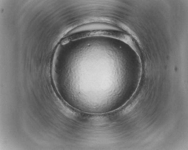 X0000070421033200606121340