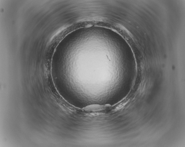X0000070421064200606121340