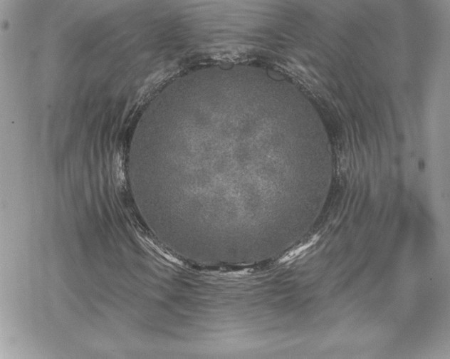 X0000070421106200606121338