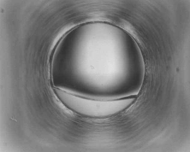 X0000070421140200606121339