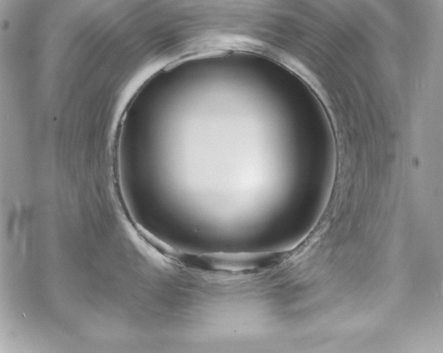 X0000070421152200606121339