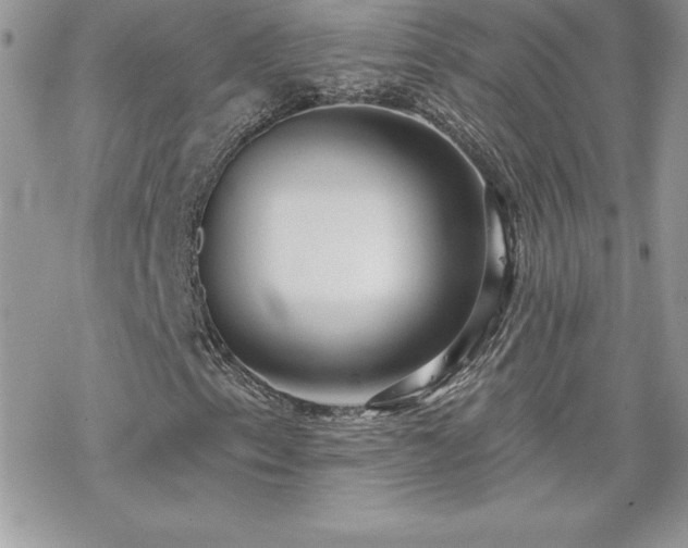 X0000070421153200606121338