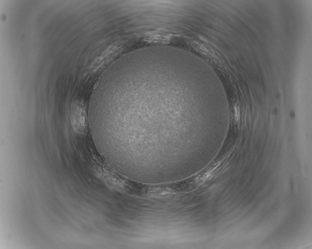 X0000070421154200606121338