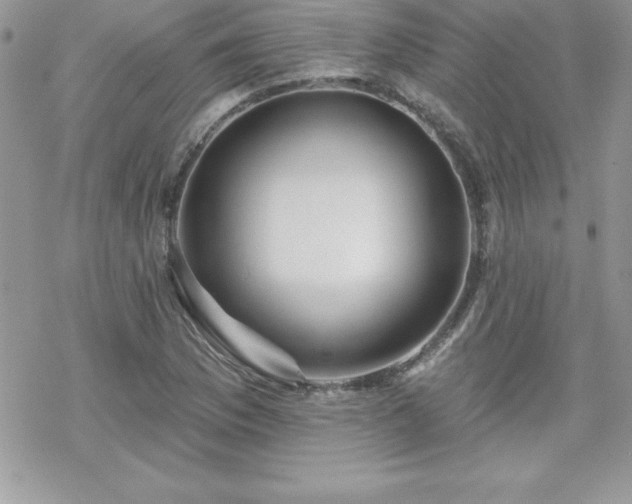 X0000070421169200606121338