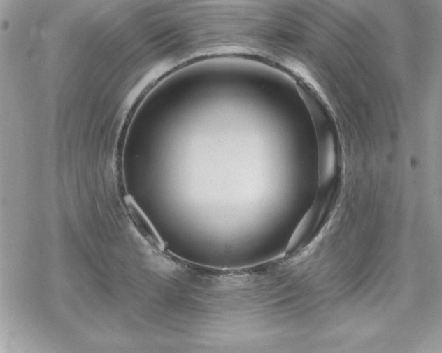 X0000070421181200606121338