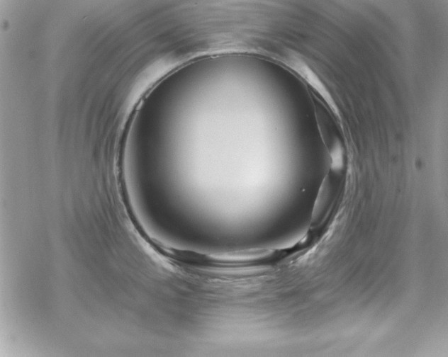 X0000070421197200606121338