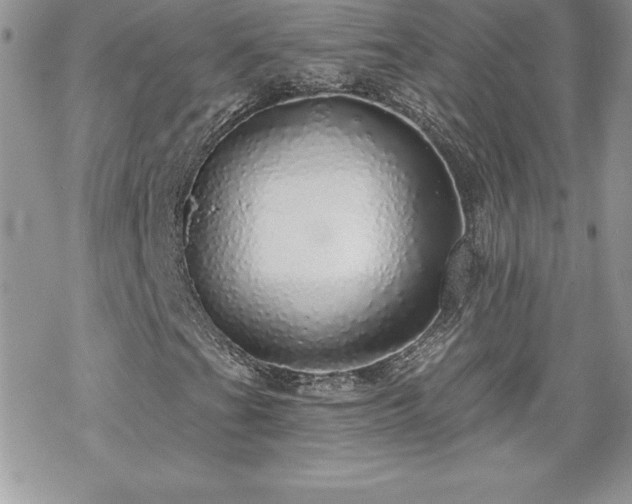 X0000070421201200606121337