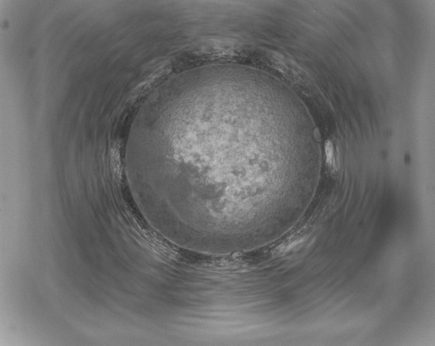 X0000070421203200606121337