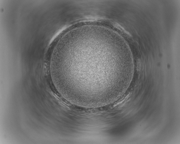 X0000070421208200606121337