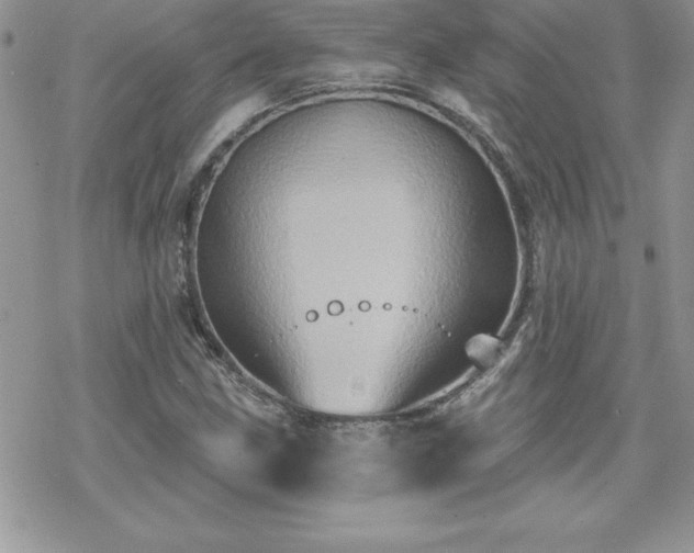 X0000070421211200606121337