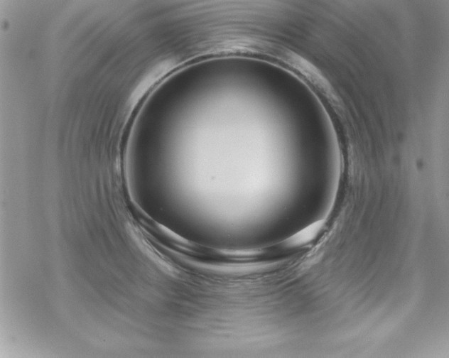 X0000070421234200606121337