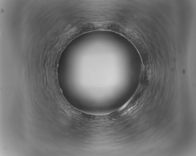 X0000070421249200606121337