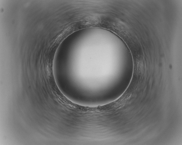 X0000070421250200606121337