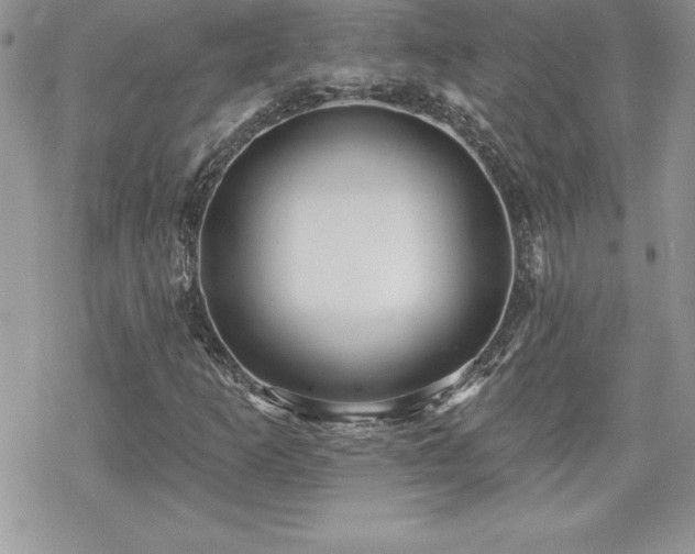 X0000070421253200606121337