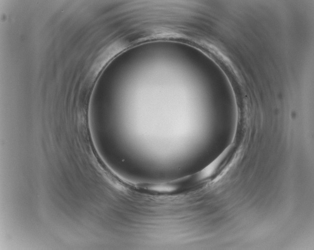 X0000070421281200606121336