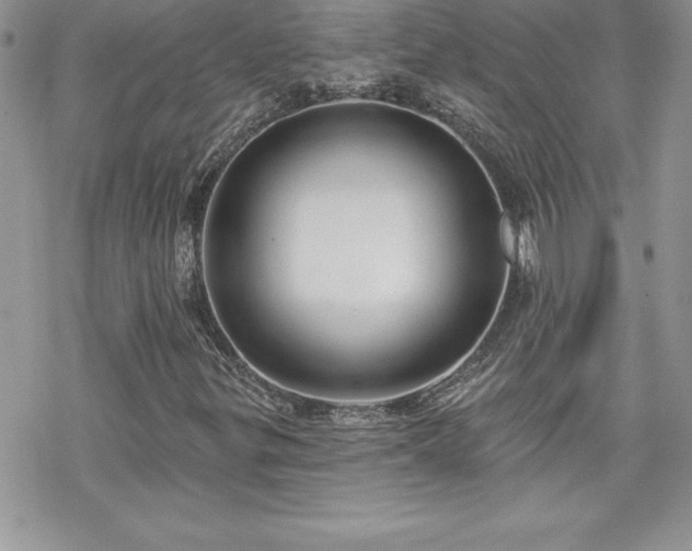 X0000070421299200606121335