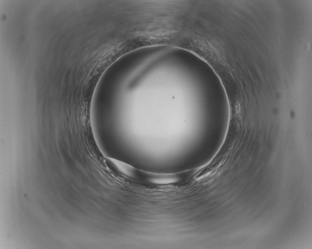 X0000070421300200606121335