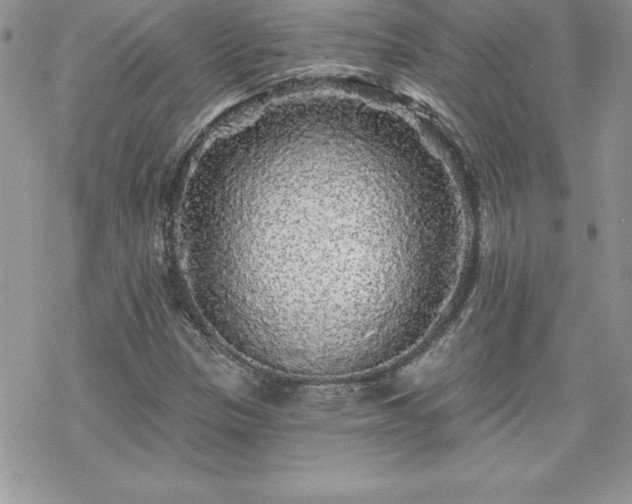 X0000070421305200606121335