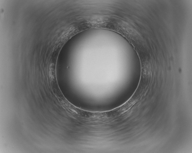 X0000070421346200606121335